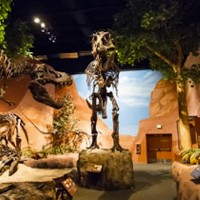 Museum of Ancient Life