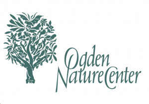 The Ogden Nature Center’s Invasive Species Pull-a-Thon
