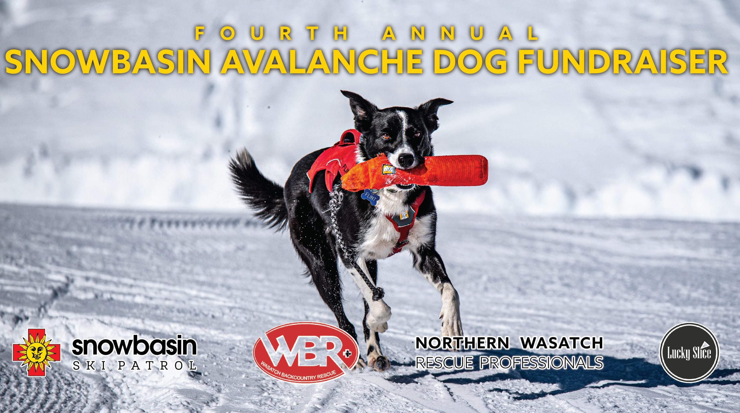 Snowbasin Resort Avalanche Dogs Pay Their Own Way at Annual