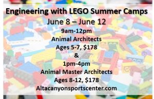 Engineering with LEGO Summer Camps