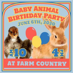 Baby Animal Birthday Party