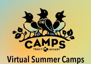 The Not So Secret Life of Animal Care Virtual Camp