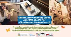 Insect Pinning Class