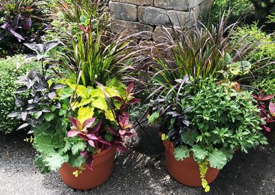 Containers for Fall Gardens- VIRTUAL