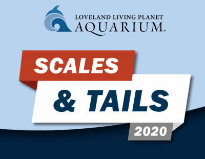 Scales & Tails fundraiser