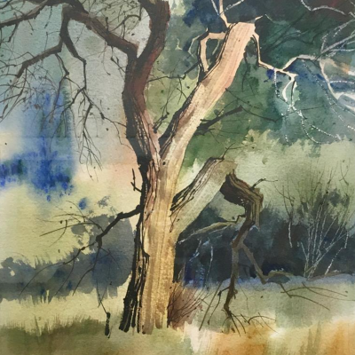Untitled (Tree Study)