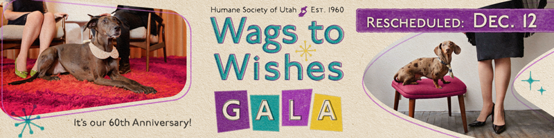 Gallery 1 - Humane Society of Utah's Wags to Wishes Gala 2020
