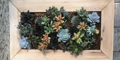 Vertical Succulent Planter - Girl's Night Out