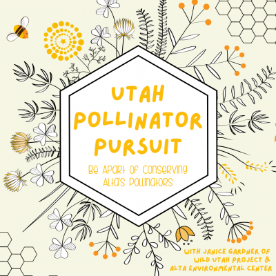 Utah Pollinator Pursuit - Be Apart of Conserving A...