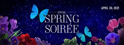 Virtual Spring Soiree