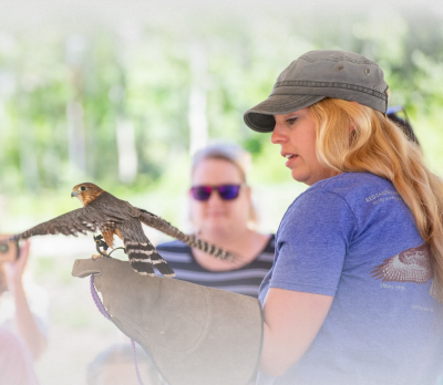 2022 HawkWatch Live Bird Show & Hike