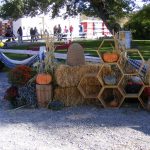 Gallery 3 - Utah Honey Harvest Festival