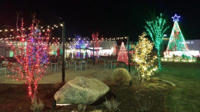 2021 Christmas Lights in The Orchard