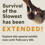 Survival of the Slowest: EXTENDED