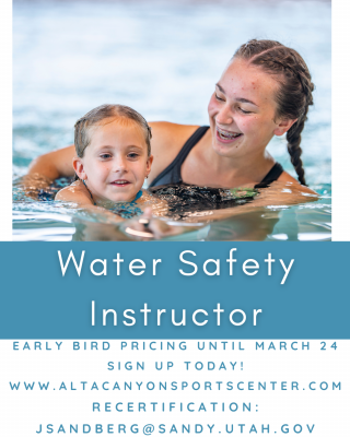 Water Safety Instructor (WSI) Course