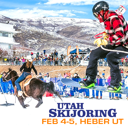 Gallery 2 - SkiJoring Utah 2022