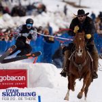 Gallery 4 - SkiJoring Utah 2022