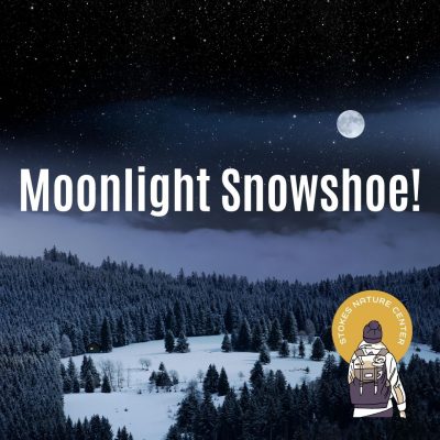 Moonlight Snowshoe
