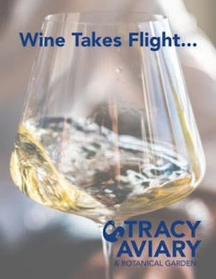 Wine Takes Flight- Sneak Preview on Summertime Pat...
