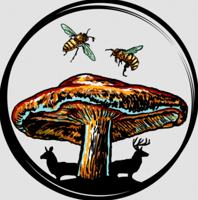Utah Fungi Festival 2022