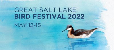 2022 Great Salt Lake Bird Festival