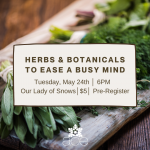 Herbs and Botanicals to Ease a Busy Mind