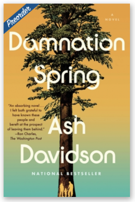 Ash Davidson | Damnation Spring
