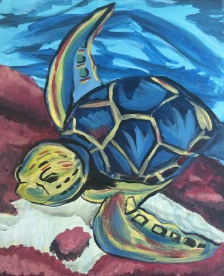 Paint & Pints at The Westerner: Sea Turtle
