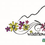 Wildflower Trailfest presented by Bank of Utah