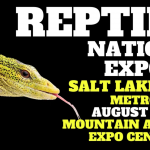 2022 Reptilian Nation Expo