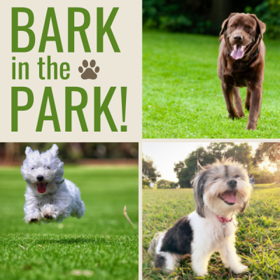 2023 Draper Bark in the Park, Draper City at Galena Dog Park