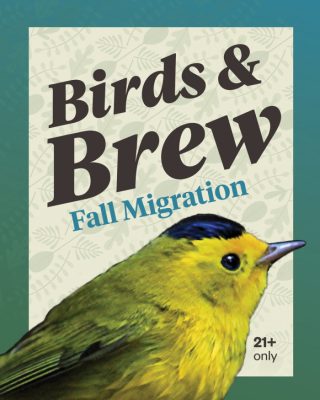 Birds & Brew: Fall Migration