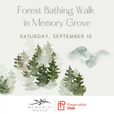 Forest Bathing Walk in Memory Grove