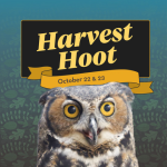Harvest Hoot