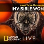 National Geographic Live - Invisible Wonders
