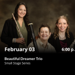 Beautiful Dreamer Trio