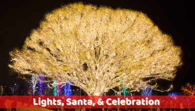 Draper Tree Lighting Ceremony 2022