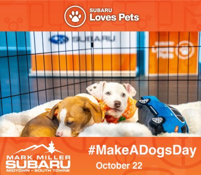 Subaru Make a Dog's Day Event