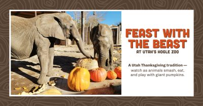 Feast with the Beast at Utah's Hogle Zoo