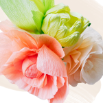 Crepe Paper Flowers with Brooke Ochs