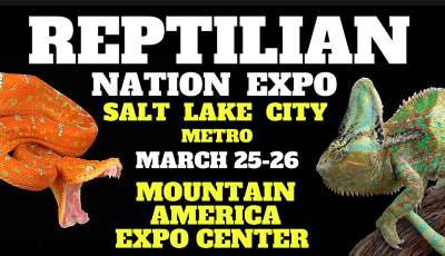 2023 Reptilian Nation Expo