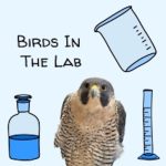 Birds In the Lab