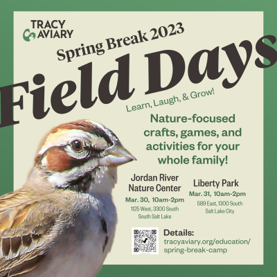 Spring Break Field Day 2023