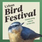 Urban Bird Festival 2023