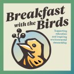 Breakfast with the Birds