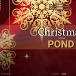 Christmas by the Pond