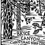 2023 Bryce Canyon Christmas Bird Count