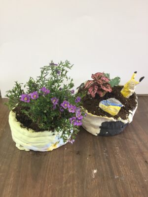 Pottery and Plants