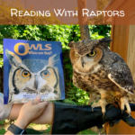 Reading with Raptors