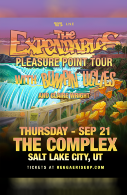 The Expendables & Bumpin Uglies live at The Complex